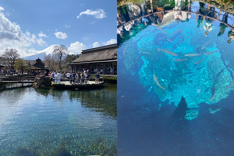 忍野八海