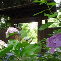 六義園