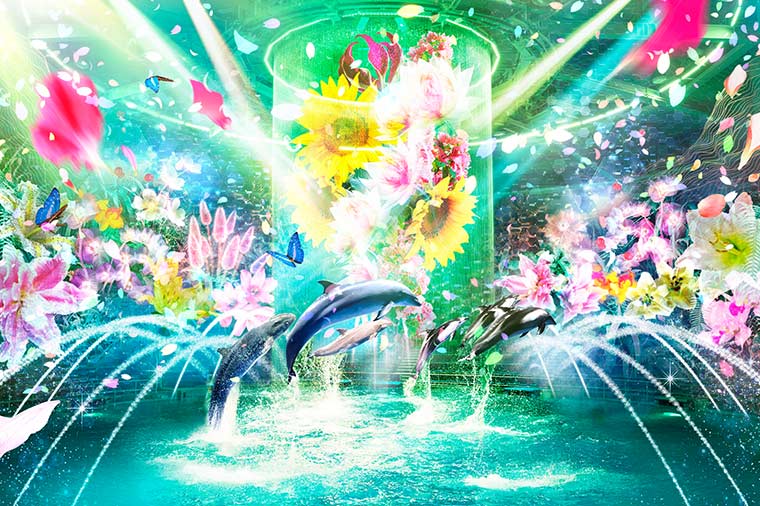 マクセルアクアパーク品川・ナイトドルフィンパフォーマンス「Beauty-of-Flower」
