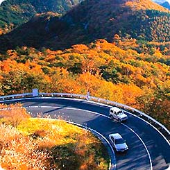 いろは坂