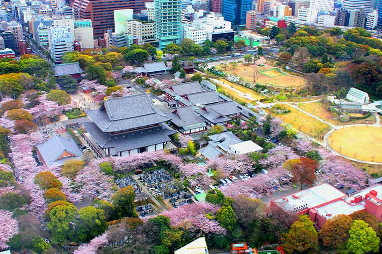 東京タワーメインデッキからの眺め