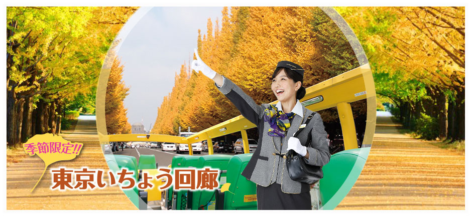 東京いちょう回廊