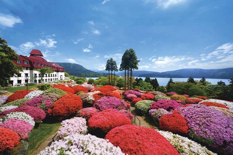 箱根・山のホテルツツジ庭園