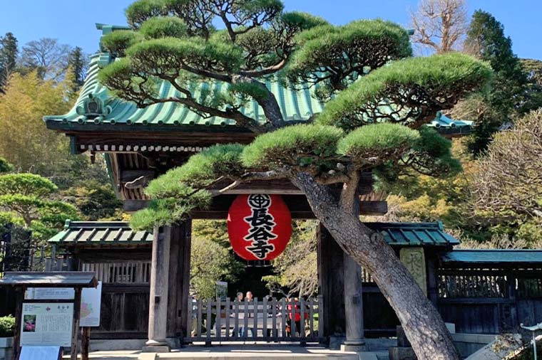 長谷観音・提灯