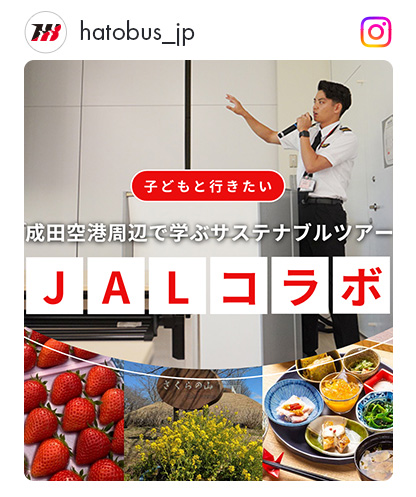 JALコラボ
