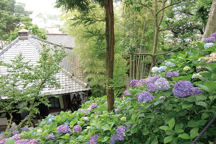 長谷寺
