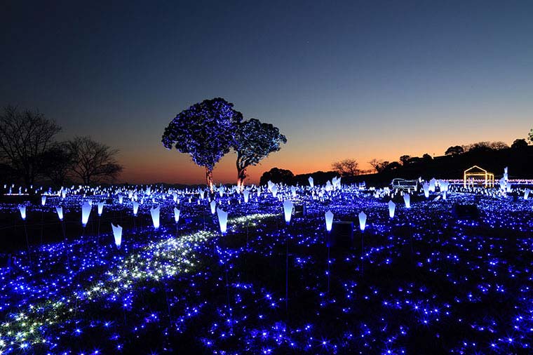 マザー牧場・イルミネーション