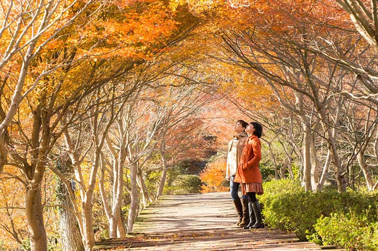 伊豆パノラマパーク