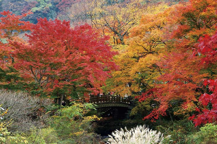 熱海梅園