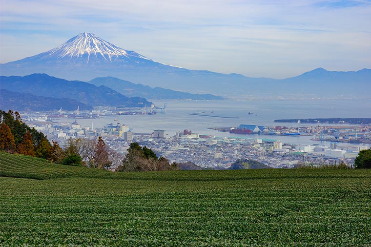 日本平の景色