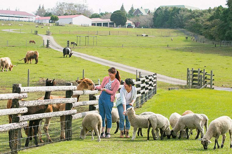 マザー牧場・マザーファームツアー