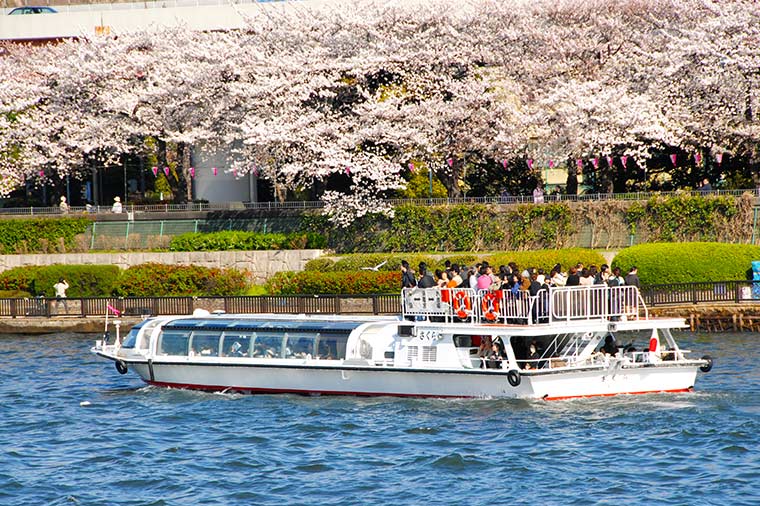 隅田川桜クルーズ・近