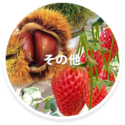 野菜狩り・その他の果物（秋）