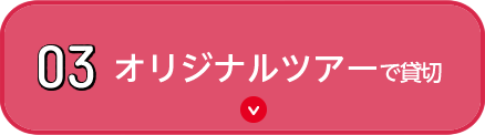 03 オリジナルツアーで貸切