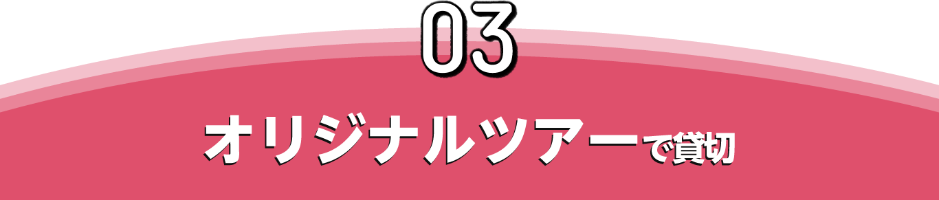 03 オリジナルツアーで貸切