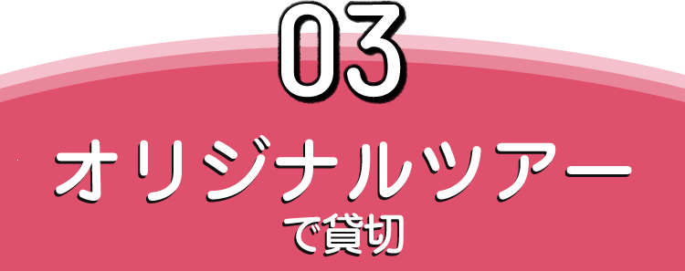 03 オリジナルツアーで貸切