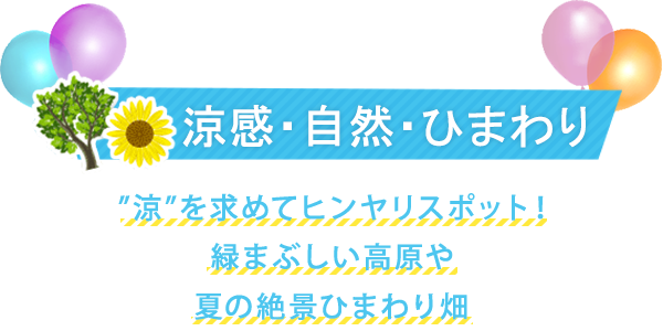 おすすめ自然・ひまわりコース