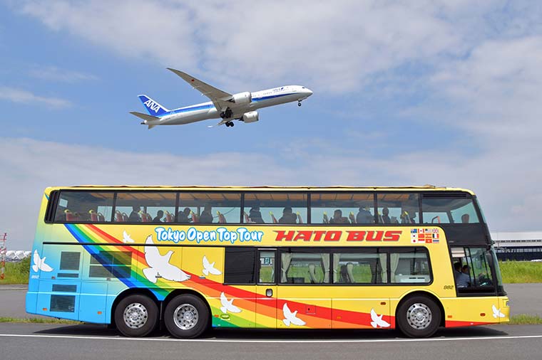 羽田空港見学