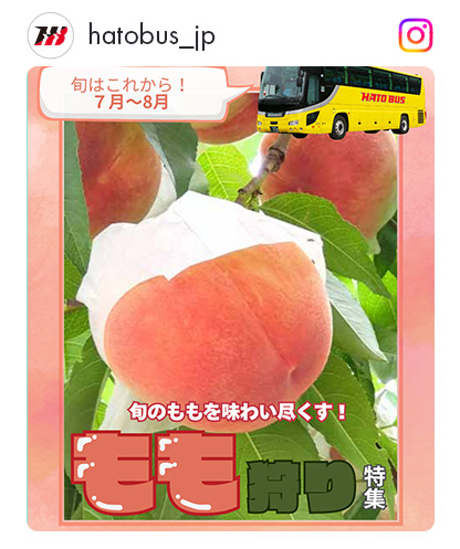 もも狩りインスタコース特集