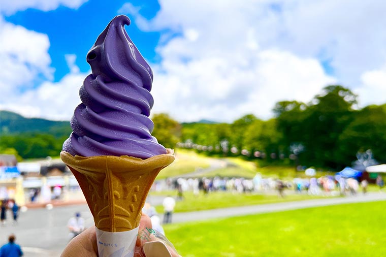 たんばらラベンダーパーク