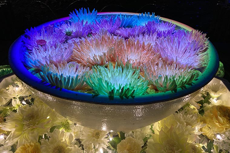 あしかがフラワーパーク