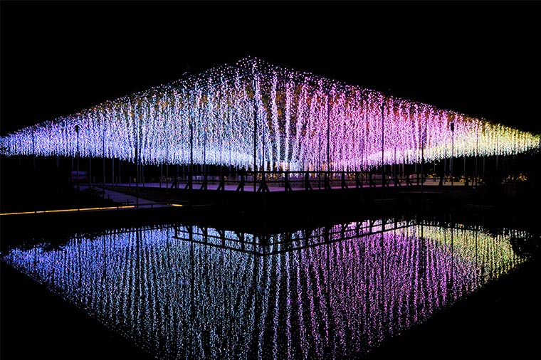 あしかがフラワーパーク