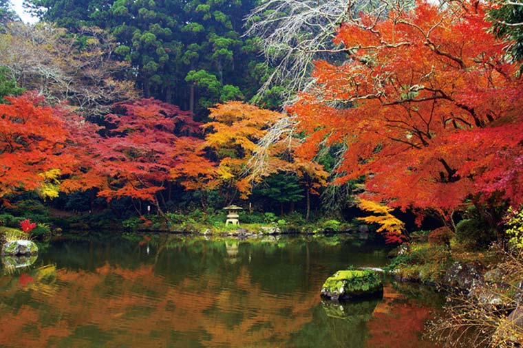 成田山公園