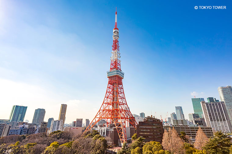 東京タワー・昼
