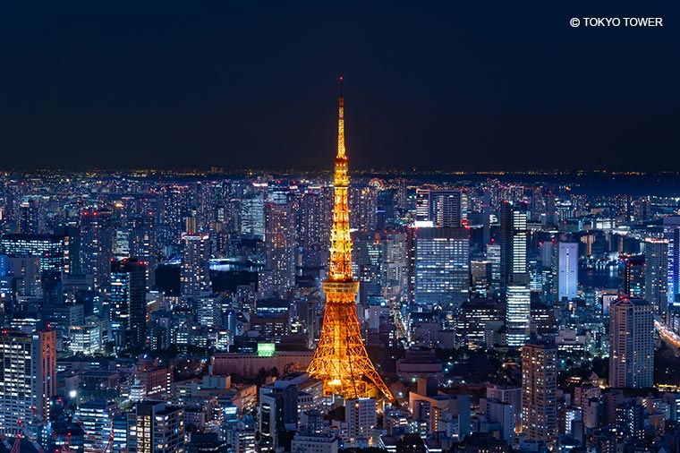 東京タワー・夜