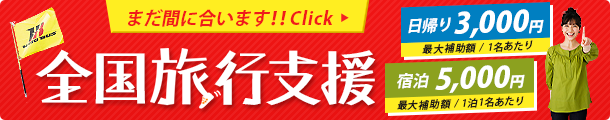 全国旅行支援