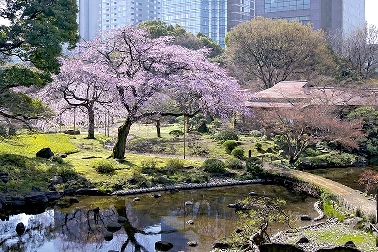 小石川後楽園