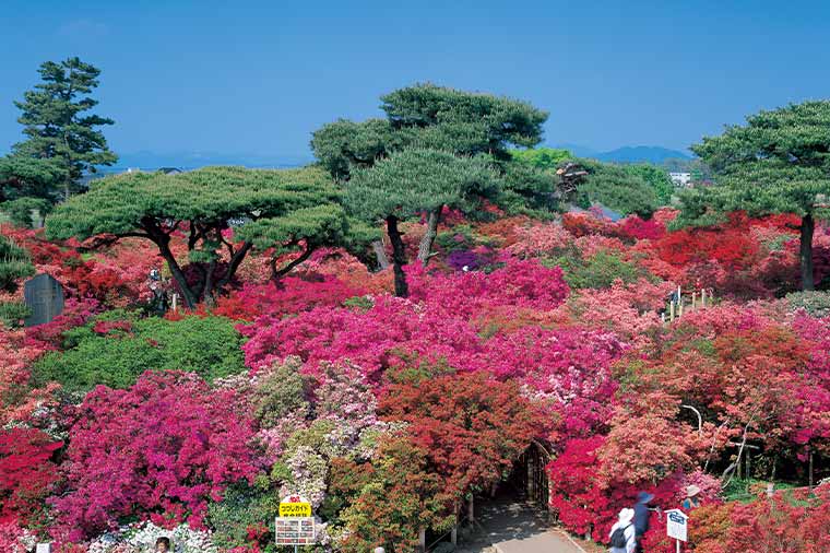 館林つつじが岡公園