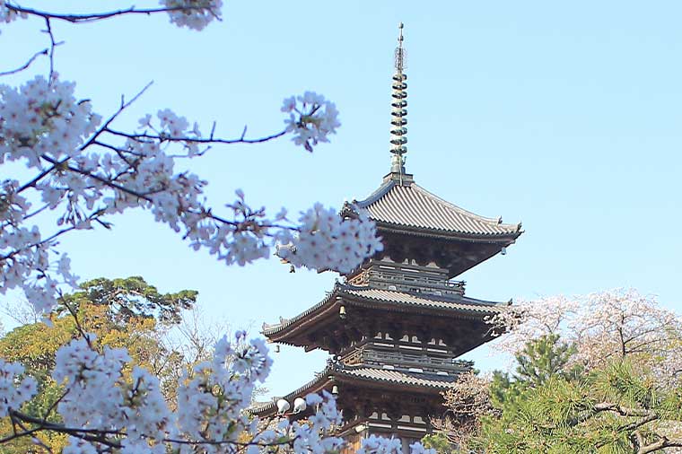 三溪園