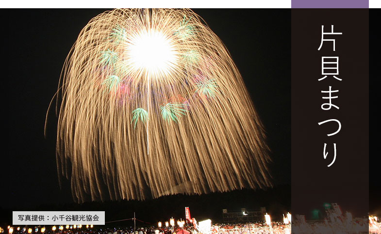 片貝まつり花火バスツアー2025