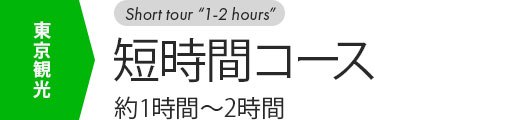 東京観光短時間コース