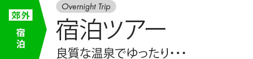 宿泊バスツアー