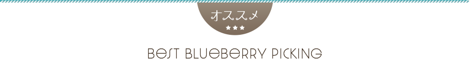 ブルーベリー狩りバスツアー