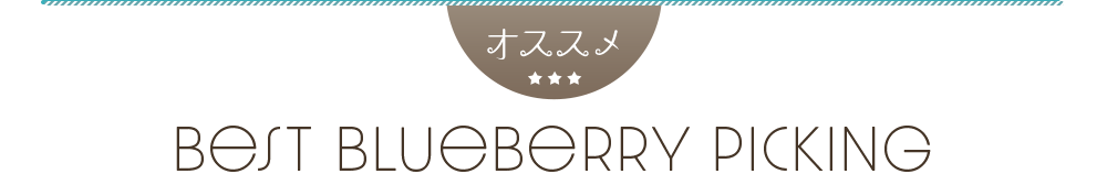 ブルーベリー狩りバスツアー