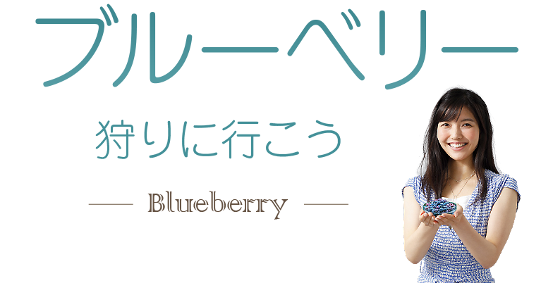 ブルーベリー狩り特集2024