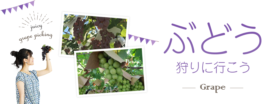 ぶどう狩り特集2024