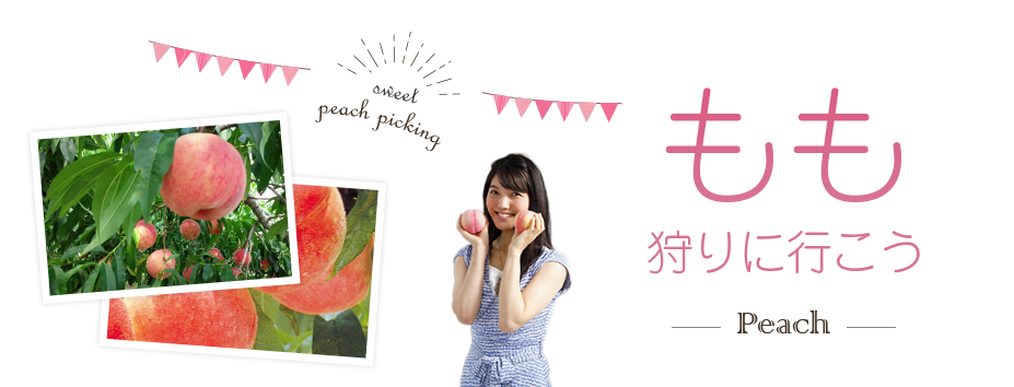 もも狩り特集2024