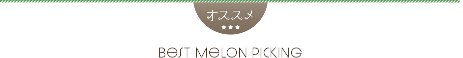 メロン狩りバスツアー