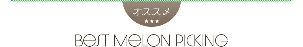 メロン狩りバスツアー