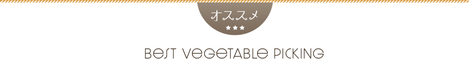野菜収穫体験バスツアー