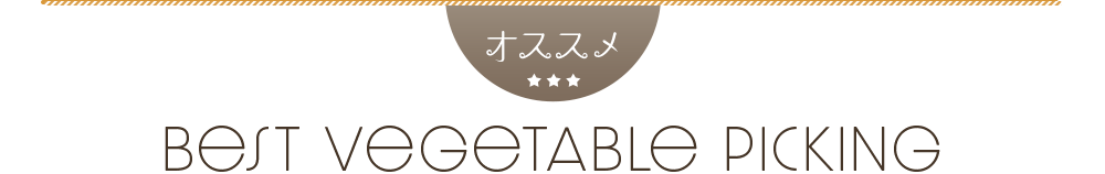 野菜収穫体験バスツアー