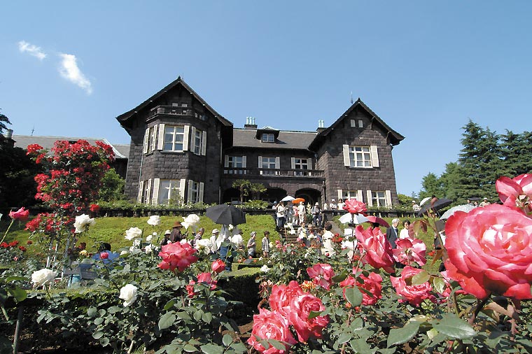 旧古河庭園・薔薇