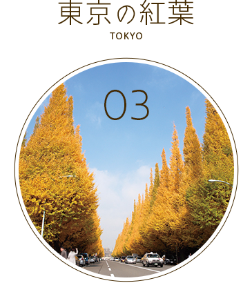 東京の紅葉バスツアー2025
