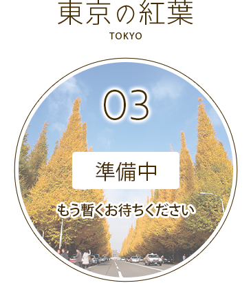 2026東京紅葉ツアー準備中