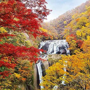袋田の滝紅葉日帰り