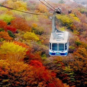 箱根駒ヶ岳宿泊紅葉